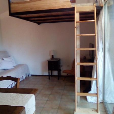 Apartamento Sous Les Pins Villeneuve-lès-Avignon Exterior foto